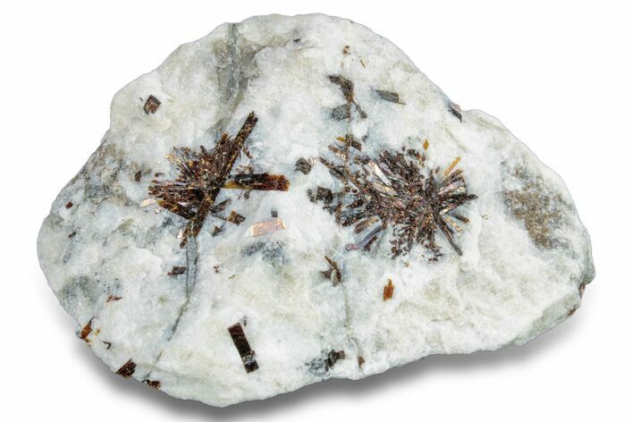 Golden-Brown, Radiating Astrophyllite - Kola Peninsula, Russia #255093